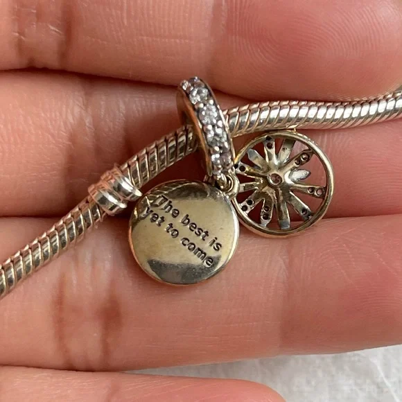 Authentic Pandora Bracelet with 3 Charms Limited Edition - Picture 10 of 16